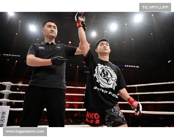 重击文化如何推动自由搏击K1规则赛事收视率提升35%的商业策略揭秘